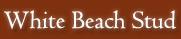 White Beach Stud, Llangoed opening hours