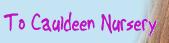 Cauldeen Primary School, Inverness opening hours