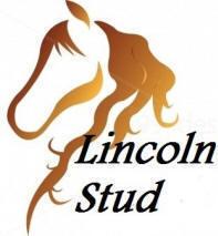 Lincoln Stud, Warlingham opening hours