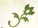 Natural Holistics Massage Therapy & Meditation High Wycombe, opening hours