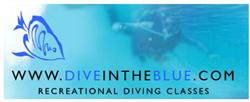 Dive in The Blue, Nottingham opening hours