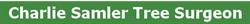Samler Landscapes in Inglesbatch (Peasedown St. John) - Opening Hours