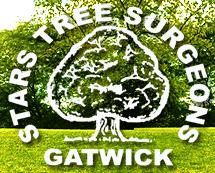 Stars Tree Surgeons, Charlwood opening hours