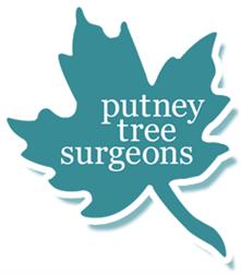 Putney Tree Surgeons in London (Battersea) - Opening Hours