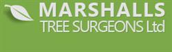 Marshalls Tree Surgeons Ltd, Ponteland opening hours