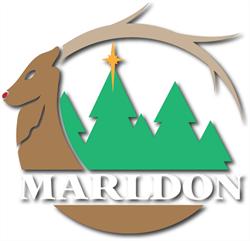 Marldon Christmas Tree Farm, opening hours