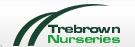Trebrown Nurseries, Horningtops opening hours