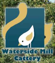 Waterside Mill Boarding Cattery, Taunton opening hours