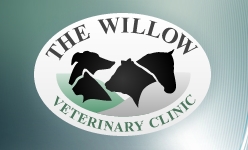 Willow Veterinary Clinic Armagh, Markethill opening hours