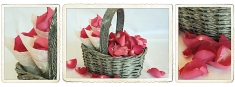 The Natural Confetti Company, Virginia Water opening hours