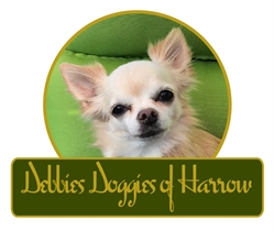 Debbies Doggies Of Harrow, opening hours