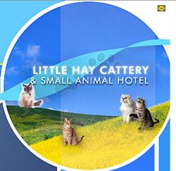Little Hay Cattery, Lichfield opening hours