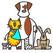 The Veterinary Centre, Twyford opening hours