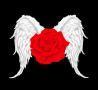 Angel Rose, St Helens opening hours