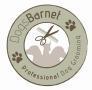 Dogsbarnet Professional Dog Grooming, Sunderland opening hours