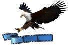Fish Eagle Films, Harworth opening hours