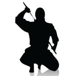 Ronin Taijutsu, Monks Risborough opening hours