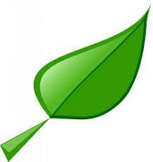 Environmental Pest Control, Sutton Coldfield opening hours
