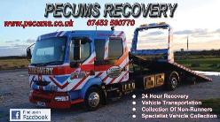 pecums recovery, Weymouth opening hours