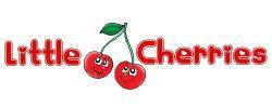 Little Cherries Childminder in Bournemouth (Castle Lane) - Opening Hours