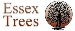 Essex Trees, Stock opening hours