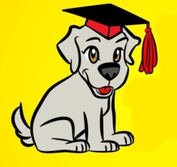 DW Dogs in St Leonards-on-Sea (Hastings) - Opening Hours