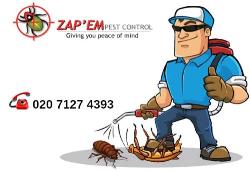 Zapem Pest Control London, opening hours