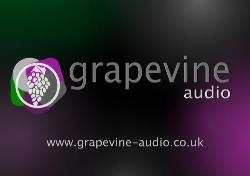Grapevine Audio, Burgess Hill opening hours