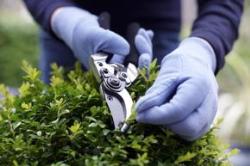 Greentec Garden Care, Banks opening hours
