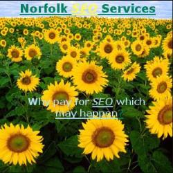 Norfolk SEO Services in Norwich (Norfolk) - Opening Hours