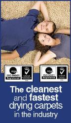 local expert cleaning, Oldbury opening hours