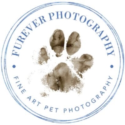 Furever Photography, Chinnor opening hours