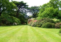 TG Lawns - Professional Lawncare & Turfing Wirral, opening hours