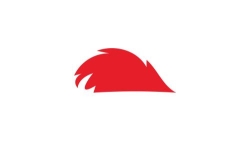 SEO & Web Design Cornwall - Hedgehog Digital, Hayle opening hours