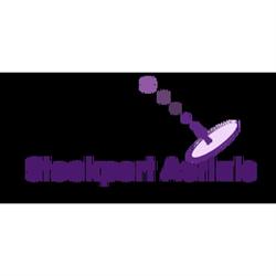 Stockport Aerials, opening hours