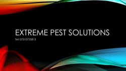 extreme pest solutions, Southport opening hours