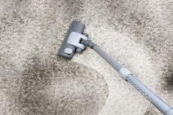 London Carpet Cleaners Ltd, opening hours