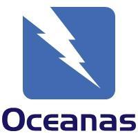 Oceanas Electrical & Lightning Protection Ltd, Polegate opening hours