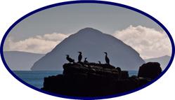 Arran in Focus Photography, Lamlash opening hours