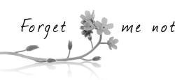 forget me not flowers, Shrewsbury opening hours