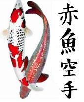 Redfish Karate, Croxley Green opening hours