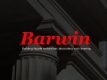 Barwin Property Services Ltd, Upminster opening hours