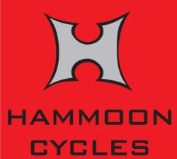 Hammoon Cycles, Shaftesbury opening hours