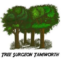 Tree Surgeon Tamworth, opening hours