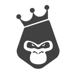 RILLA Stunt Scooters, Micheldever opening hours