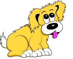 Best Behaviour Animal Therapy, Rossendale opening hours