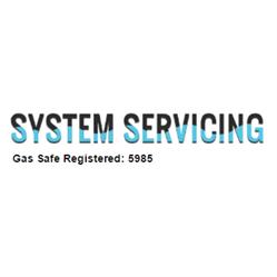 System Servicing, North Hykeham opening hours