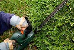 Hedge Trimming Services 07562945899 - Fast FREE Call Out! in Shipley (Bradford) - Opening Hours
