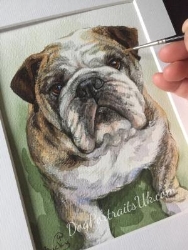 Dog Portraits UK, Glossop opening hours