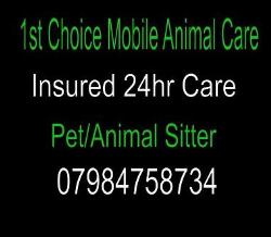 1st Choice Mobile Animal care, Great Hale opening hours